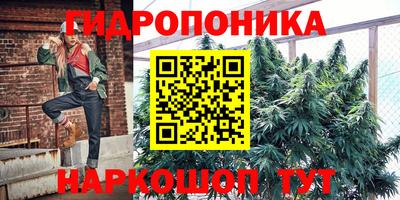 крисы Краснодар
