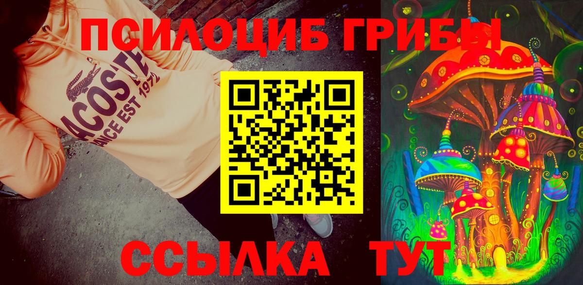 Коряжма  Галлюциногенные грибы Psilocybine cubensis  Вход с VPN  Псилоцибиновые грибы Cubensis 