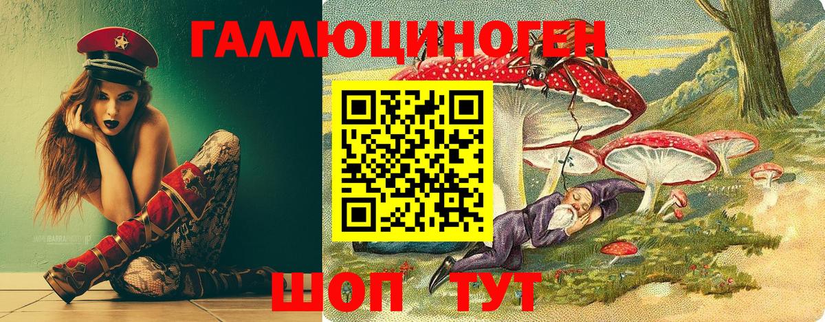 Галлюциногенные грибы прущие грибы Коряжма